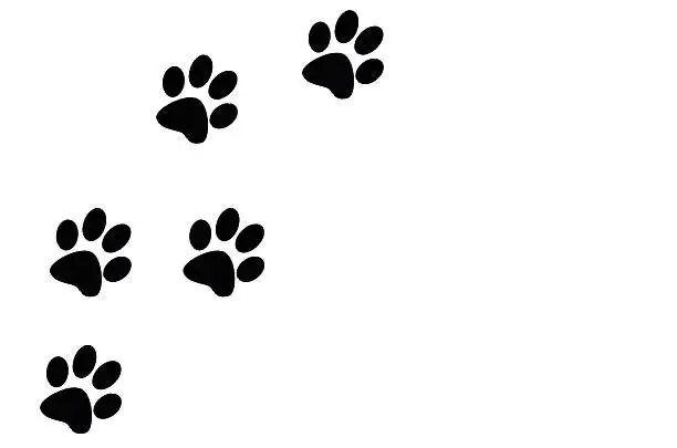 Photo of paw prints black on a white background left of frame