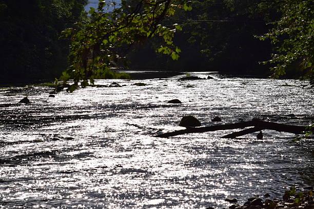 istock River Ayr, downstream from Stair, Scotland 488796512