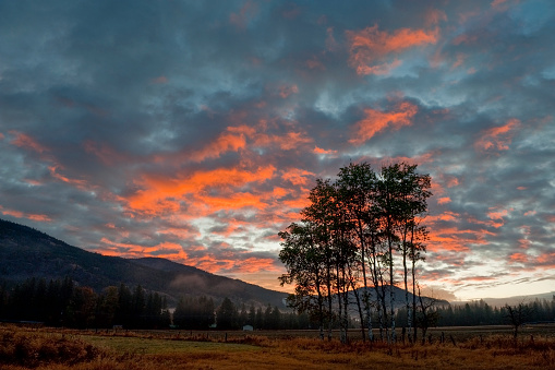 A dramatic red sky illuminates an aspen grove in the historic Methow Valley near the town of Mazama.