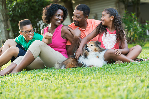 An African American family of four with two children sitting together on the grass with their dog, a miniature sheltie, smiling and looking at each other.  They are in their back yard, with the house visible in the background.