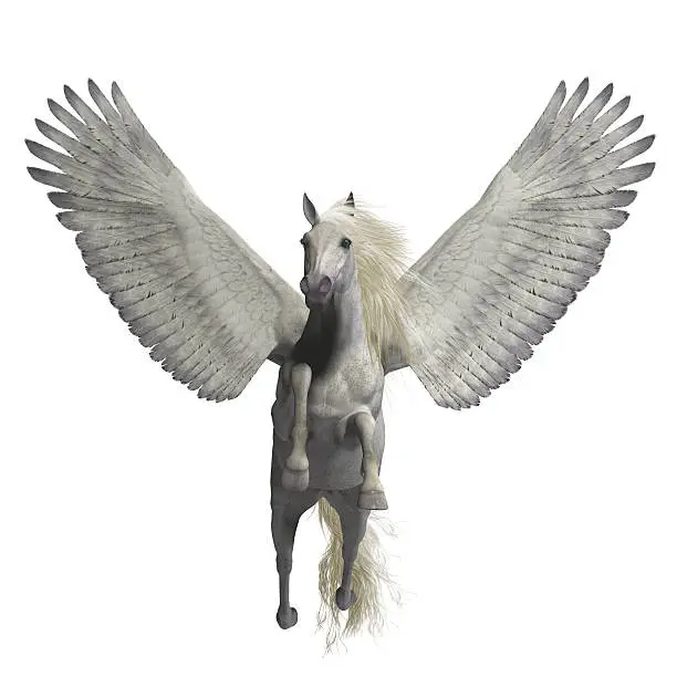 Photo of White Pegasus on White