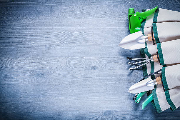 istock close up view on handbag with garden tools copyspac 488799504