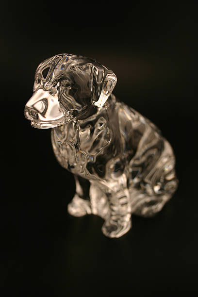 istock Crystal Golden Retriever 488801051