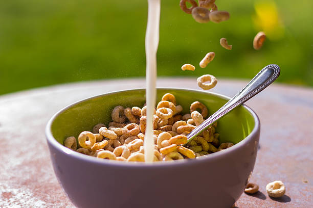 istock Cereal and milk flying in breakfast bowl 488801567