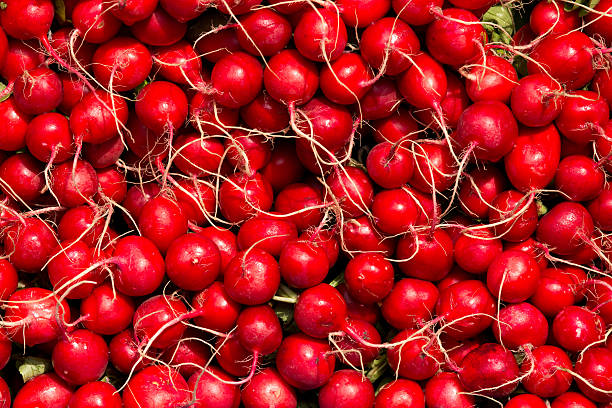 istock Radishes on sale 488804057