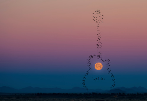 Birds flocking in the shape of a guitar surrounding a setting moon over a mountain range.