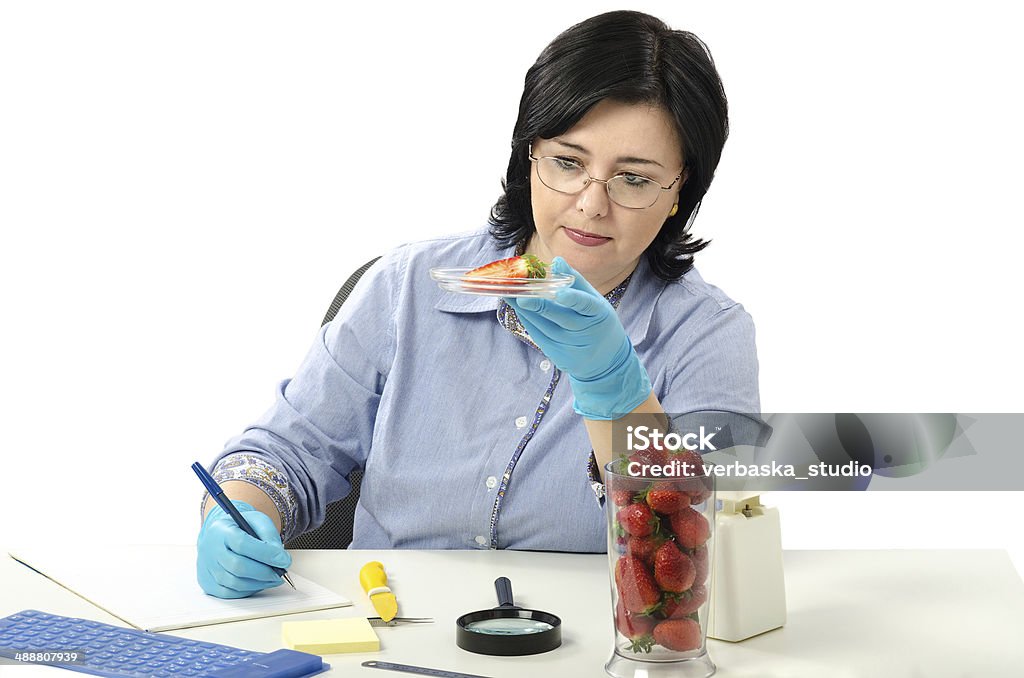 Phytosanitary engineer carefully examines strawberries Phytosanitary engineer carefully examines at the half strawberries  in the laboratory Adult Stock Photo