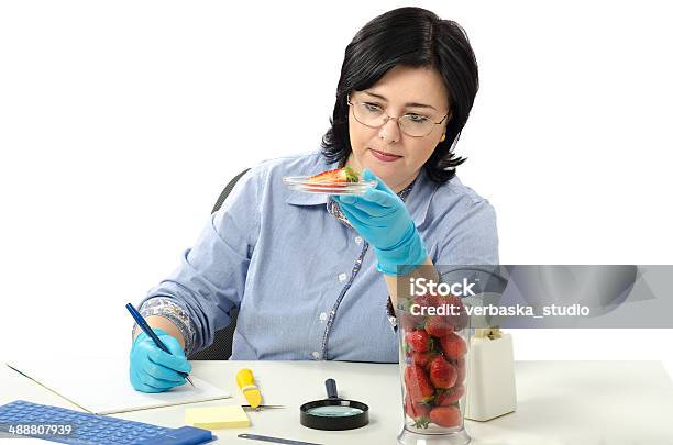 Phytosanitary Engineer Carefully Examines Strawberries Stock Photo - Download Image Now