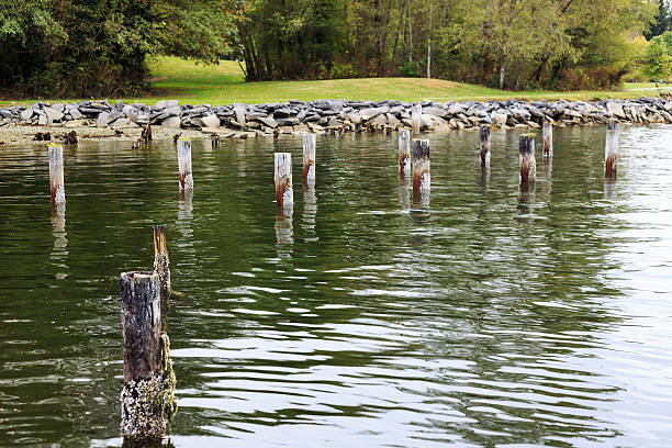 istock wooden poles in seawater 488811994