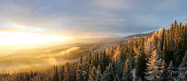 istock Sunrise in Slovakia during the winter with snow 488813188