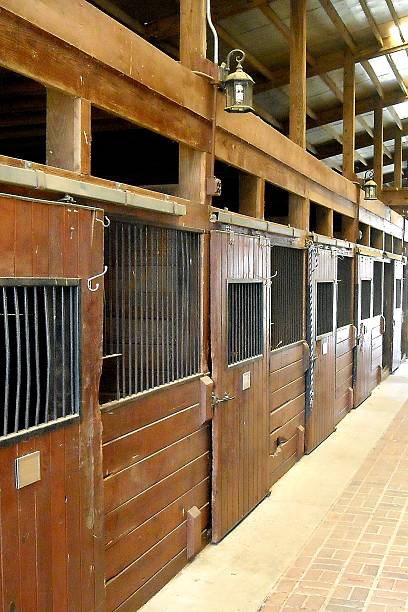 istock Inside a barn with line of horse stables 488813494