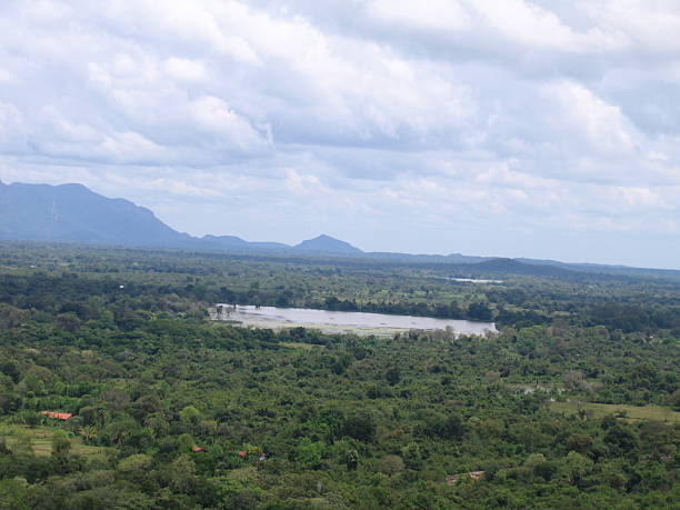 istock lake middle of the jungle 488816384