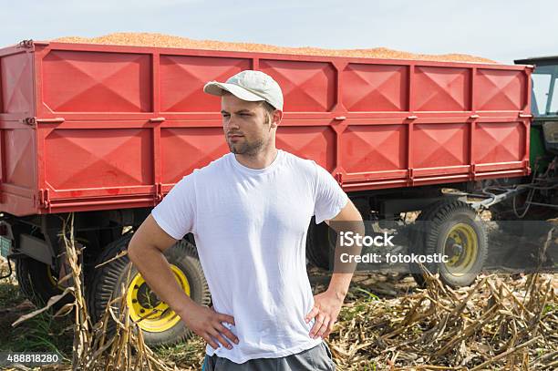 Foto de Colheita De Milho e mais fotos de stock de 20 Anos - 20 Anos, 2015, Adulto