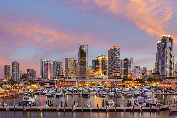 istock Miami city skyline panorama at twilight 488820468