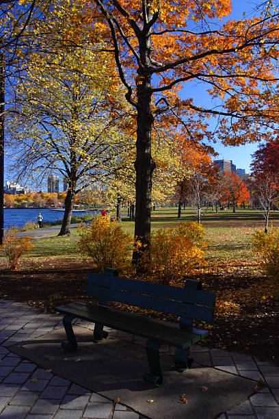 istock Boston Common and Public Garden, USA 488821988