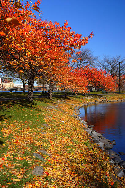 istock Boston Common and Public Garden, USA 488822040