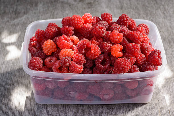 istock Ripe raspberries in a clear bowl 488823752