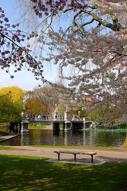 istock Boston Common and Public Garden, USA 488823842