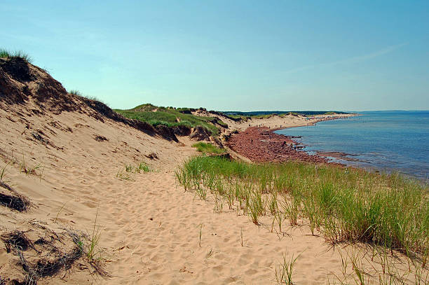 cavendish beach beach and dunes at cavendish cavendish beach stock pictures, royalty-free photos & images
