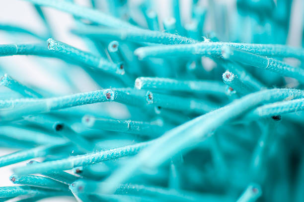 istock Pile of blue ropes 488827281