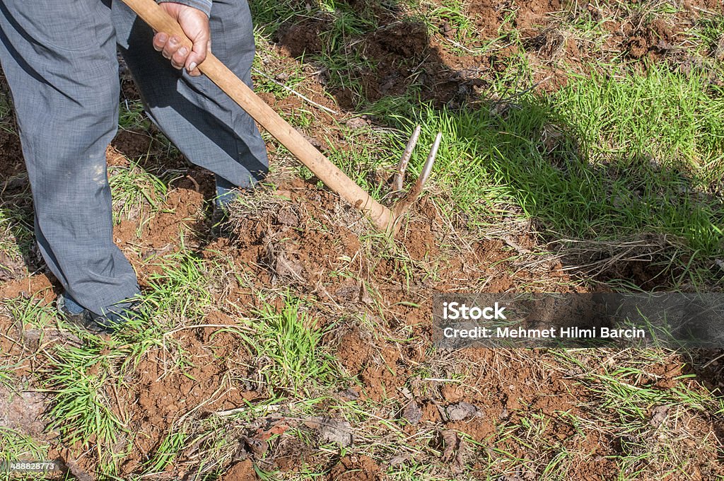 Garden work Farmer hoeing in his garden Active Lifestyle Stock Photo