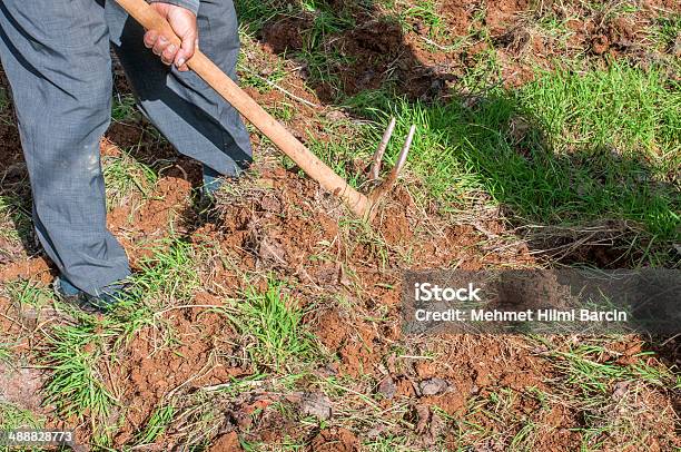 Garden Work Stock Photo - Download Image Now - Active Lifestyle, Adult, Adults Only