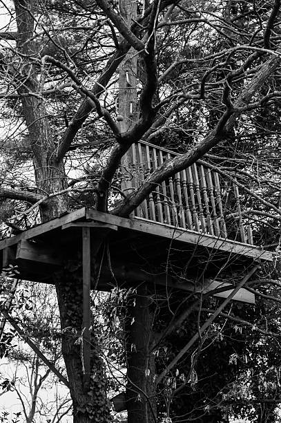 an old tree house, black and white image