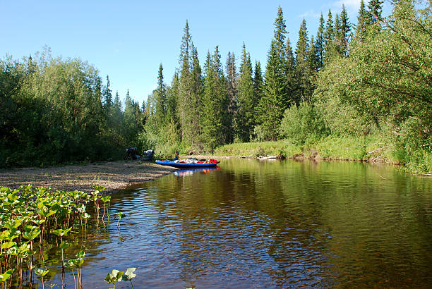 istock River in the forests of  Komi Republic. 488830925