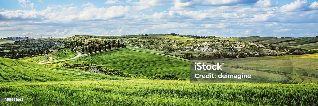 Colline toscane - Foto stock royalty-free di Agricoltura