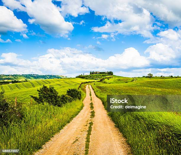 Tuscan Hill Country Road - Fotografie stock e altre immagini di Agricoltura - Agricoltura, Ambientazione tranquilla, Ampio