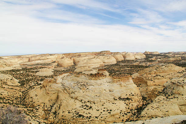 istock Desert Landscape Background Grand Canyon 488831899