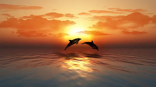 Photo of Sunset ocean with dolphins jumping