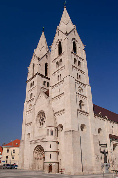 istock Cathedral in Wiener Neustadt Austria 488832697