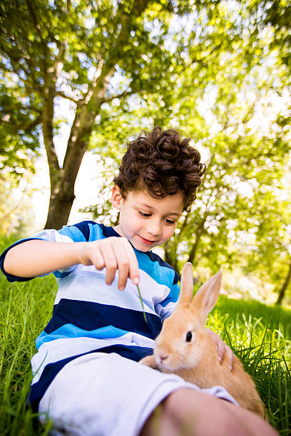 istock Boy with cute bunny in garden 488833341