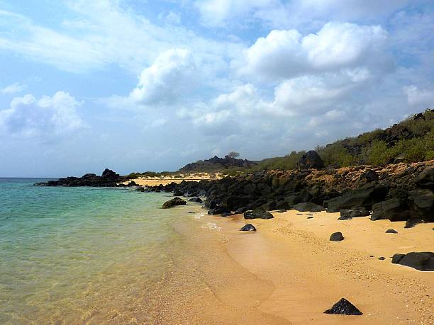 istock White Sand Beach in Djibouti 488833389
