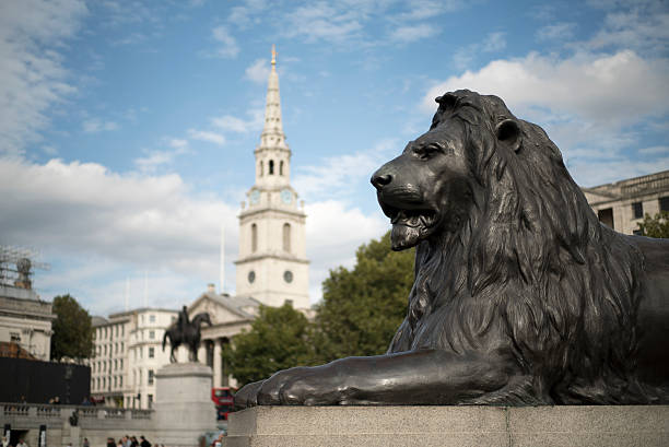 trafalgar square leone. - lion statue london england trafalgar square foto e immagini stock