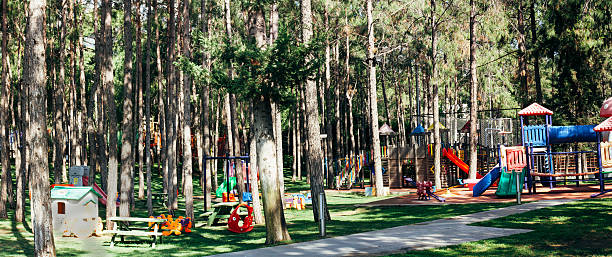 little girl is playing in the park