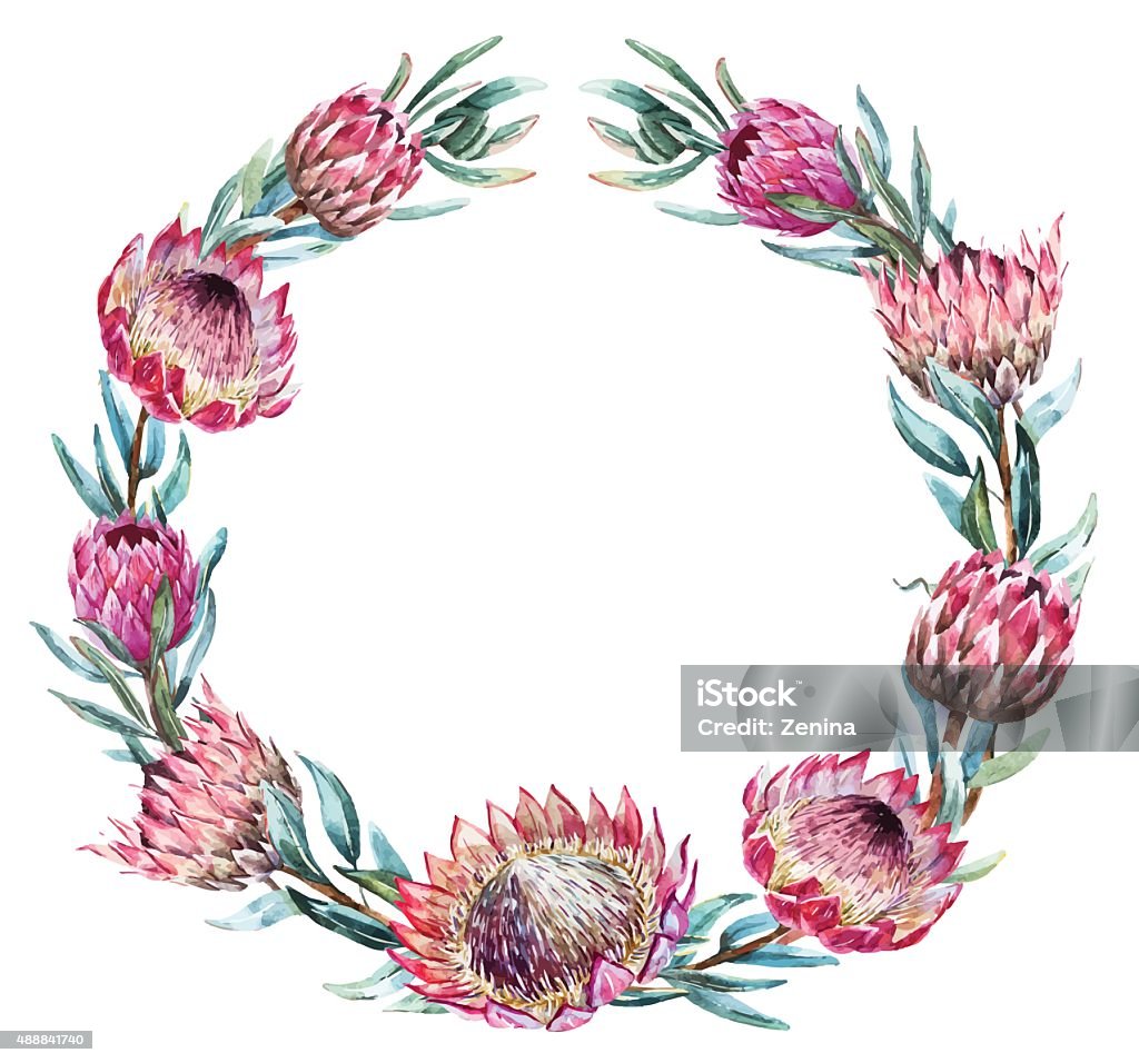 Watercolor tropical protea wreath Beautiful vector image with nice watercolor tropical protea wreath Australia stock vector