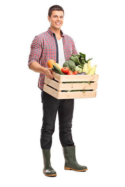 joven sosteniendo una caja llena de verduras - box men holding isolated fotografías e imágenes de stock