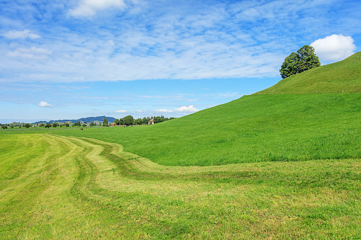 View in Einsiedeln in Switzerland, beginning of autumn.