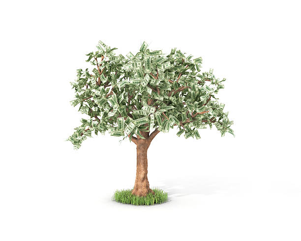 dollar tree with hundred dollar bills Isolated over white