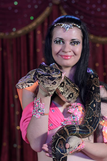 istock Portrait of Female Snake Charmer Holding Python 488845386