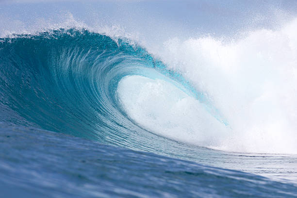 istock Empty barreling reef wave in the tropics 488846082