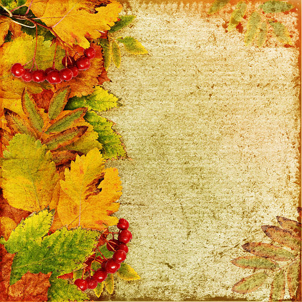 istock Autumn background with leaves and berries 488846284