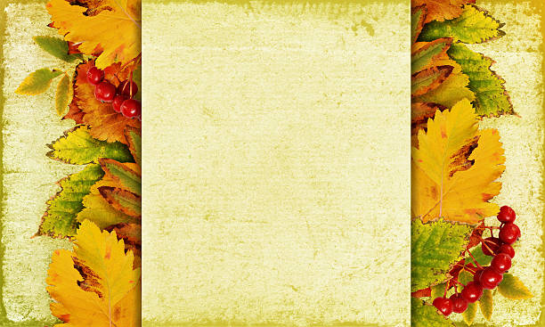 istock Autumn background with leaves and berries 488846318