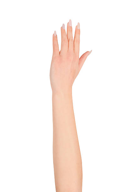 istock Beauty woman hand over white 488847432