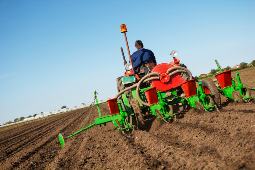 Farmer in  Old-fashioned tractor sowing crops at field
