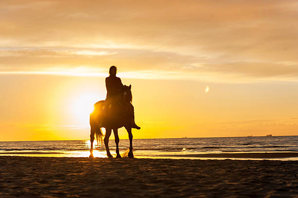 istock Horseriding at the beach on sunset background. Multicolored outdoors image. 488849298