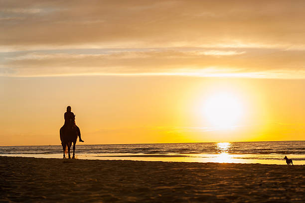 istock Horseriding at the beach on sunset background. Multicolored outdoors image. 488849574