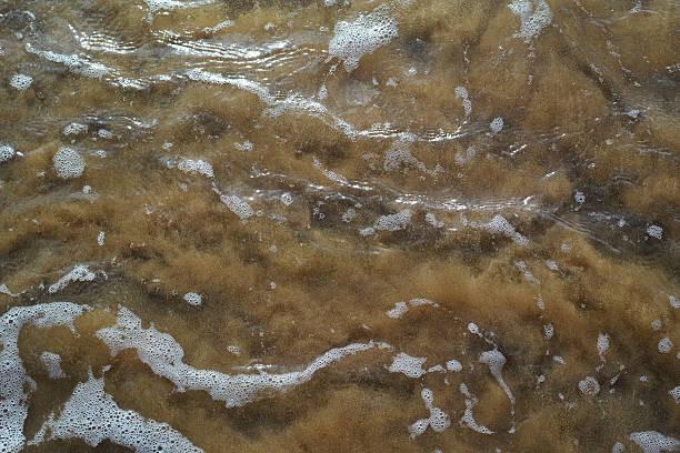 istock Close-Up To Surface Of Water At The Beach 488851074